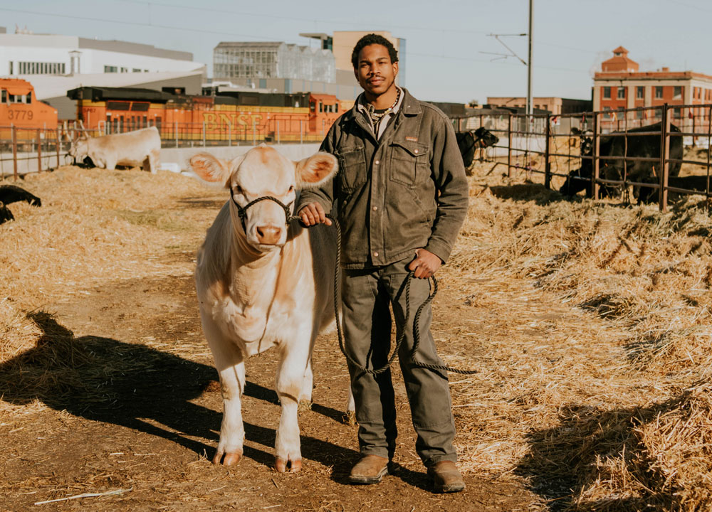 A man wearing a gray canvas jacket and pants and Frontline HiViz 11” Waterproof boot, leading a show cow to the pens.