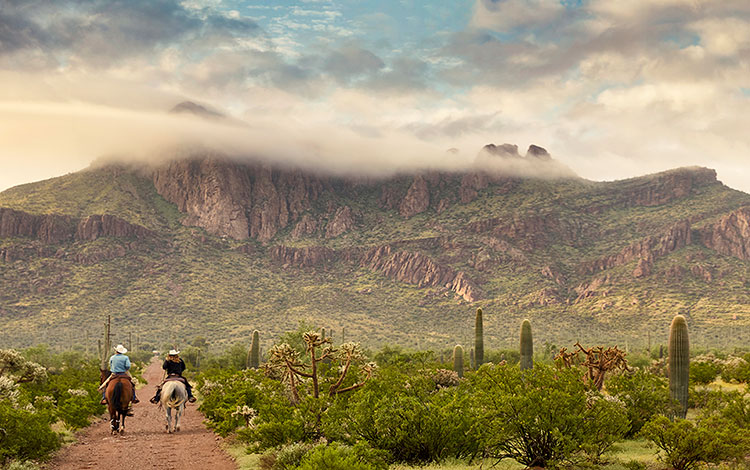 Two people on horse back riding through the desert 