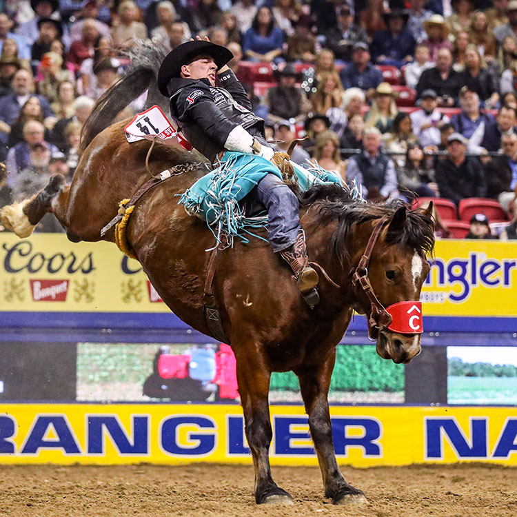 A Cowboy, Jess Pope, wearing turquoise fringe chaps with a black felt cowboy hat, riding a brown bareback bronc horse at the NFR with fans in the crowd.