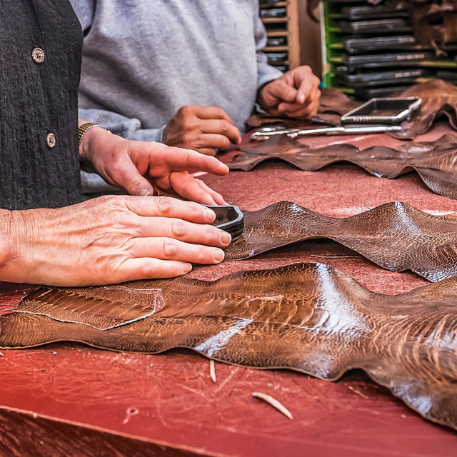 Worker placing a cutting die on an exotic leather.