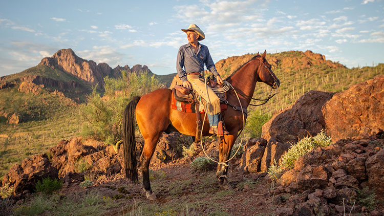 man rides horse in desert 