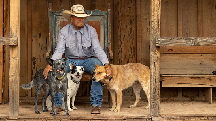 Man sits with three dogs 