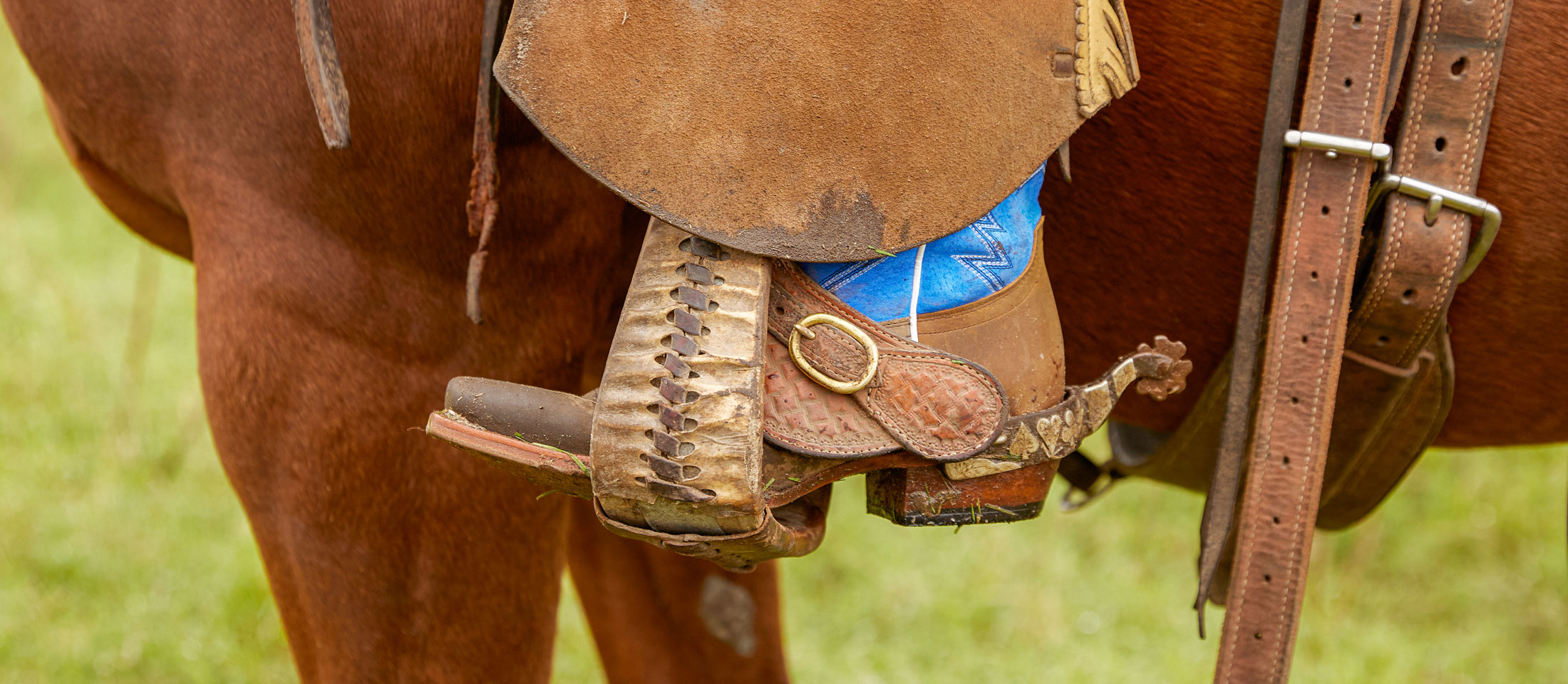 A cowboy’s boot is seen riding a horse with his foot in the stirrup with a spur and a blue top.