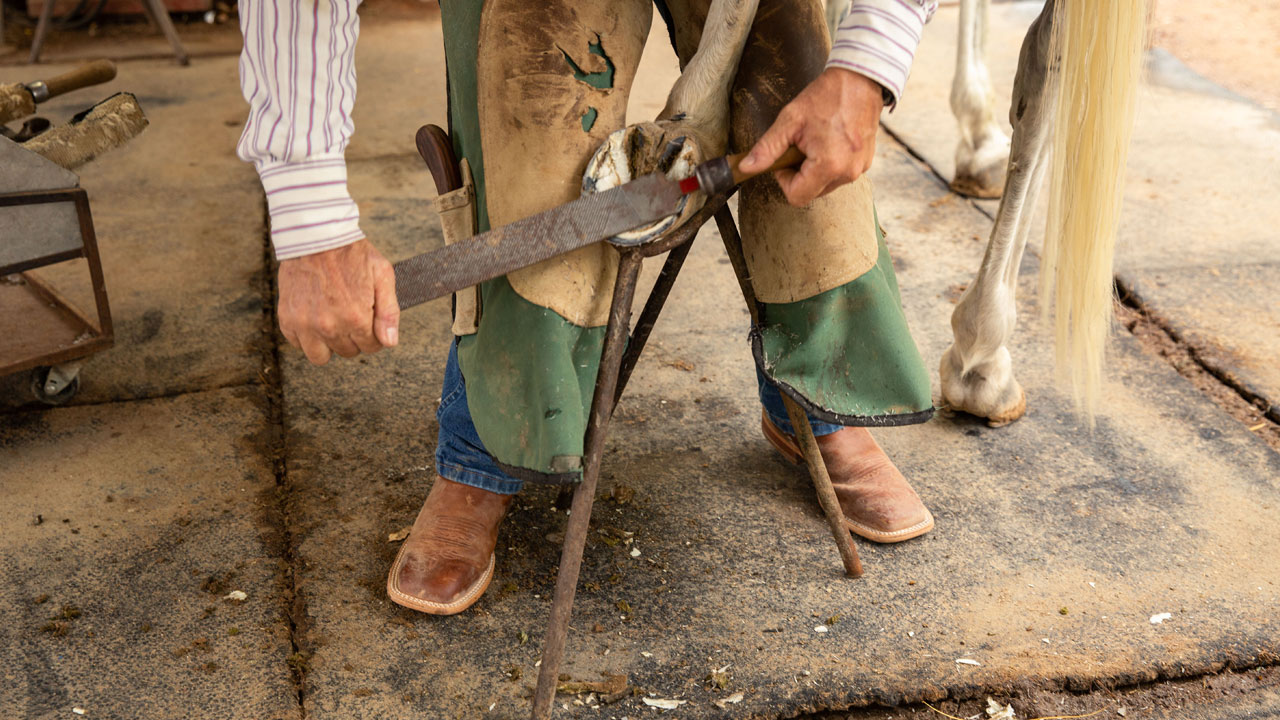 el hombre limpia la pezuña del caballo