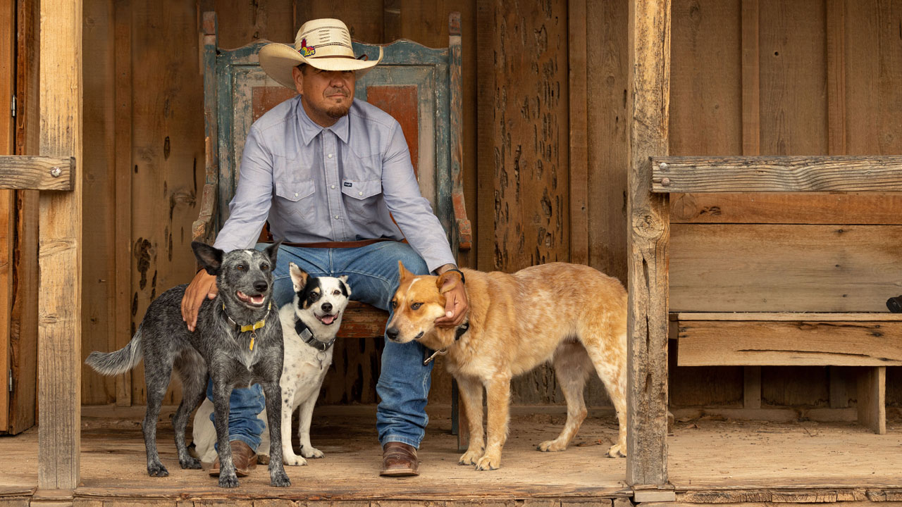 El hombre se sienta con tres perros