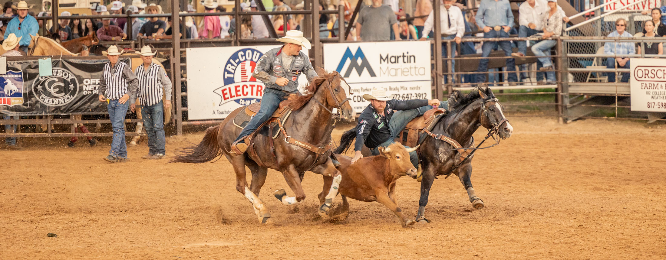 A cowboy, Clayton Hass, making his Steer Wrestling Run at a rodeo.