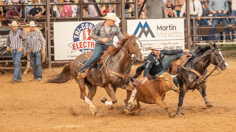 A cowboy, Clayton Hass, making his Steer Wrestling Run at a rodeo.