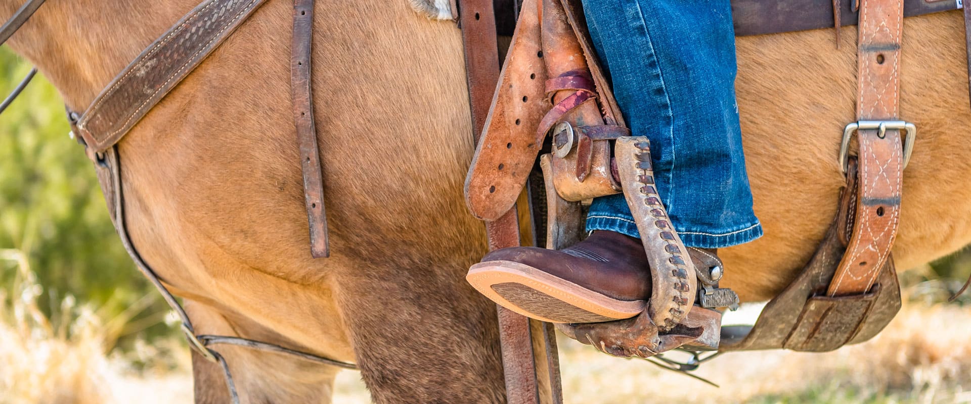 Close up of horse and brown boot in stirrup 